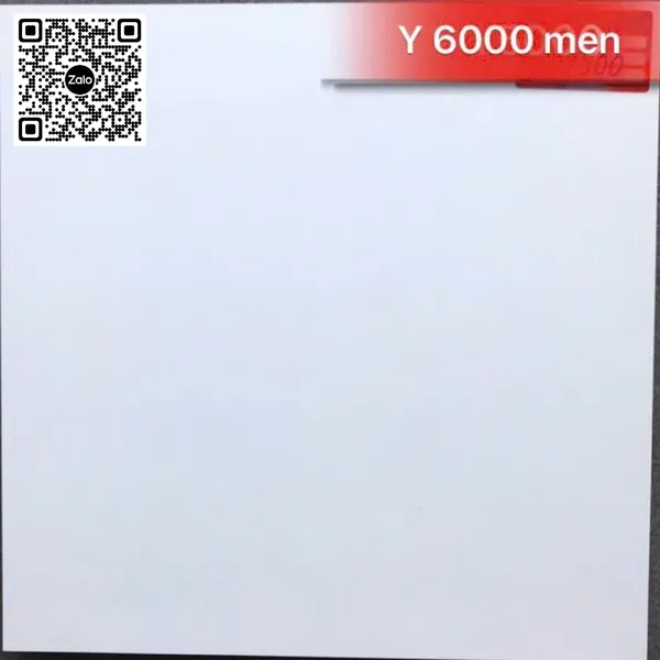 Gạch Men 60x60 Ốp Lát Giá Rẻ trắng trơn Y6000