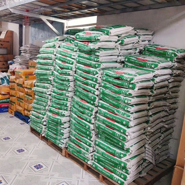 Keo Dán Gạch Green Crocodile Giá Rẻ