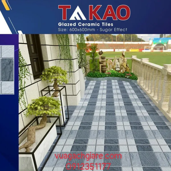Gạch Lát Sân 60x60 TAKAO vân đá 56161