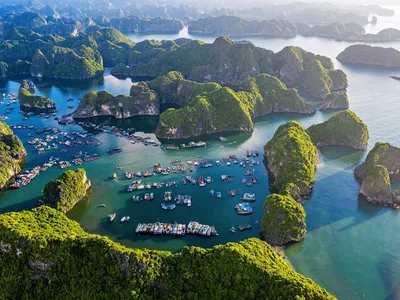 Lịch Trình Đại Lễ 2/9: 2 Ngày 1 Đêm Tại Flamingo Cát Bà Resort