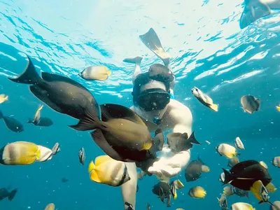 Phú Quốc Hè 2024: Vinpearl Resort & Spa Phú Quốc - Điểm Hẹn Lý Tưởng Ghi Dấu Khoảnh Khắc Tuổi Trẻ