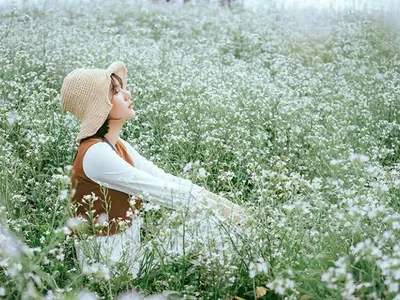 Top những địa điểm nên đi ở đà lạt tháng 11
