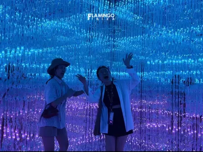 Flamingo Ibiza Hải Tiến - Điểm Đến Lý Tưởng Cho Những Ngày Cuối Tuần