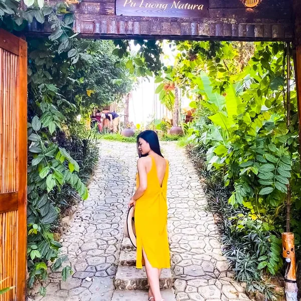 PULUONG NATURAL - VIEW LÚA SIÊU ĐẸP 