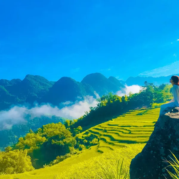 PULUONG NATURAL - VIEW LÚA SIÊU ĐẸP 