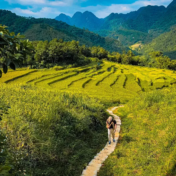 PULUONG NATURAL - VIEW LÚA SIÊU ĐẸP 