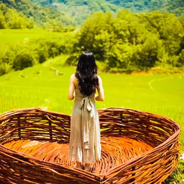 PULUONG NATURAL - VIEW LÚA SIÊU ĐẸP 