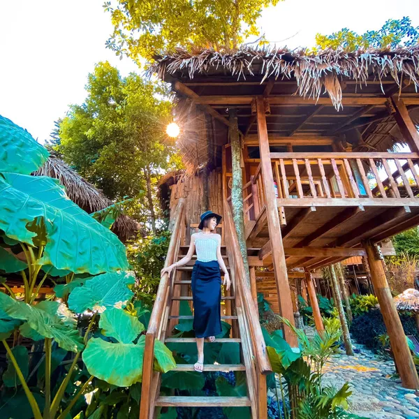 PULUONG NATURAL - VIEW LÚA SIÊU ĐẸP 