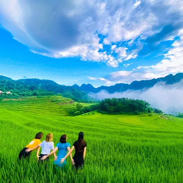 PULUONG NATURAL - VIEW LÚA SIÊU ĐẸP 