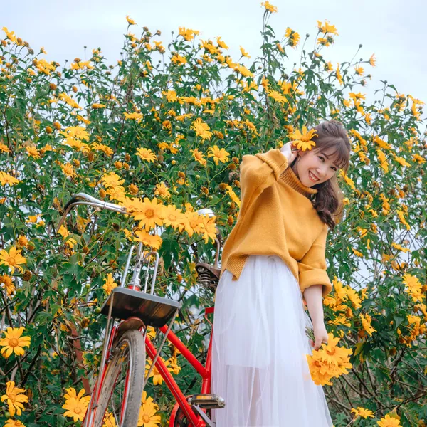 COMBO ĐÀ LẠT 4N3Đ NGĂM HOA DÃ QUỲ T10, T11,T12/2022