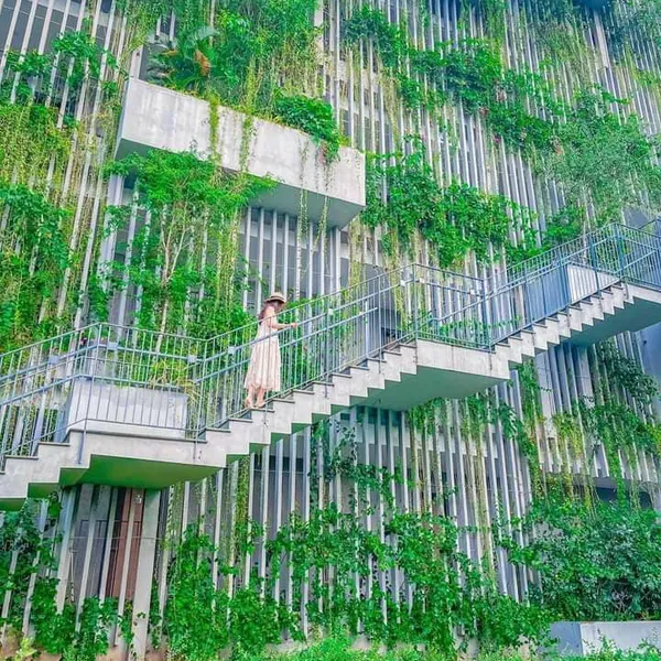 𝐕𝐄𝐃𝐀𝐍𝐀 𝐑𝐄𝐒𝐎𝐑𝐓 𝐍𝐈𝐍𝐇 𝐁𝐈̀𝐍𝐇