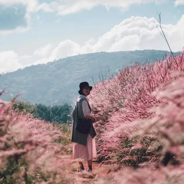 COMBO ĐÀ LẠT 3N2Đ MÙA CỎ HỒNG ĐUÔI CHỒN