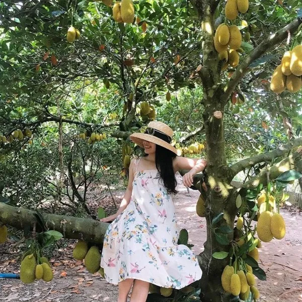 COMBO HÀ NỘI - CẦN THƠ 3 NGÀY 2 ĐÊM