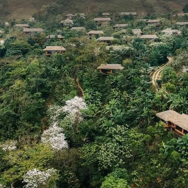 AVANA RETREAT HÒA BÌNH 