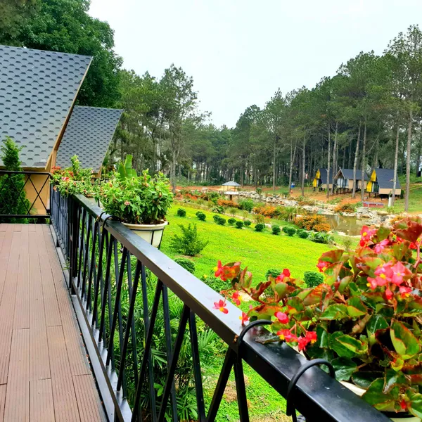 𝗖𝗛𝗜𝗘̂𝗠 𝗡𝗚𝗨̛𝗢̛̃𝗡𝗚 𝗩𝗘̉ Đ𝗘̣𝗣 𝗡𝗘̂𝗡 𝗧𝗛𝗢̛  𝗠𝗢̣̂𝗖 𝗖𝗛𝗔̂𝗨 𝗞𝗛𝗜 𝗧𝗛𝗔́𝗡𝗚 𝟭𝟬 𝗖𝗛𝗔̣𝗠 𝗡𝗚𝗢̃