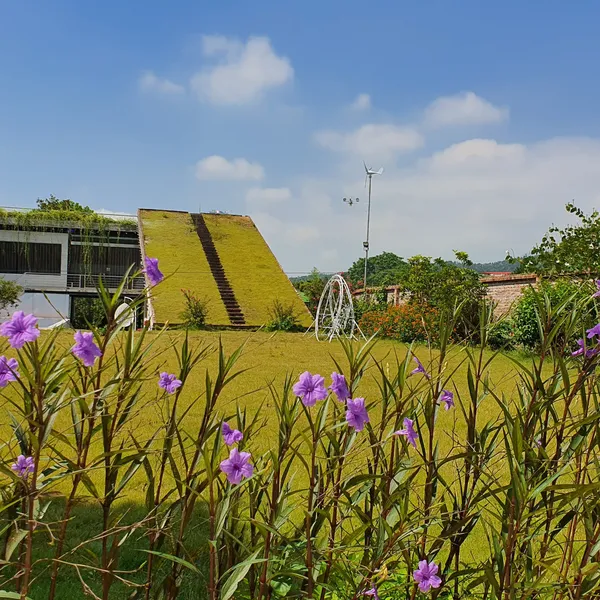 CỎ VILLA - BA VÌ HÀ NỘI