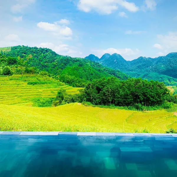 PULUONG NATURAL - VIEW LÚA SIÊU ĐẸP 