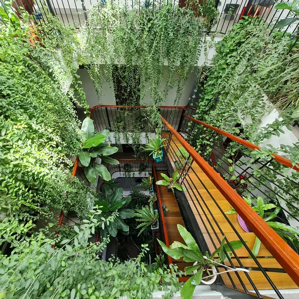 COMBO CÔN ĐẢO 3N2Đ