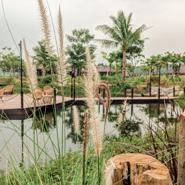 LÀNG TRONG THUNG - JACARANDA VALLEY ECOFARM BA VÌ