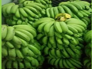 LỢI ÍCH SỨC KHỎE TỪ CHUỐI