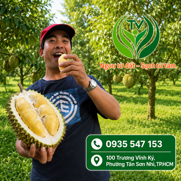 TEST CREATE CO HINH 20260914-171720