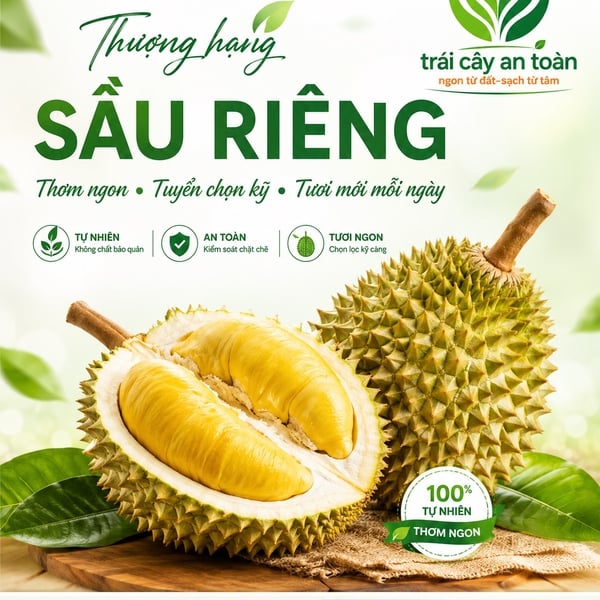 Cách Chọn Sầu Riêng Ngon - Cơm Vàng, Múi Dày, Không Bị Bể