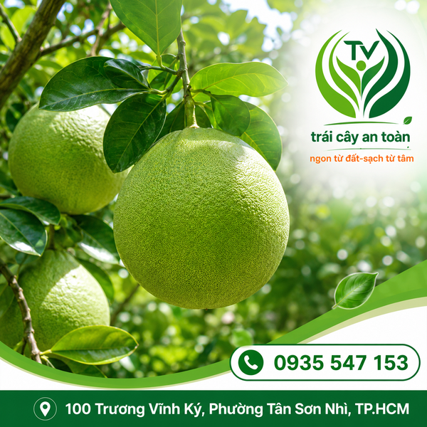 Bưởi Da Xanh - Hướng Dẫn Chế Biến Món Ngon Từ Bưởi