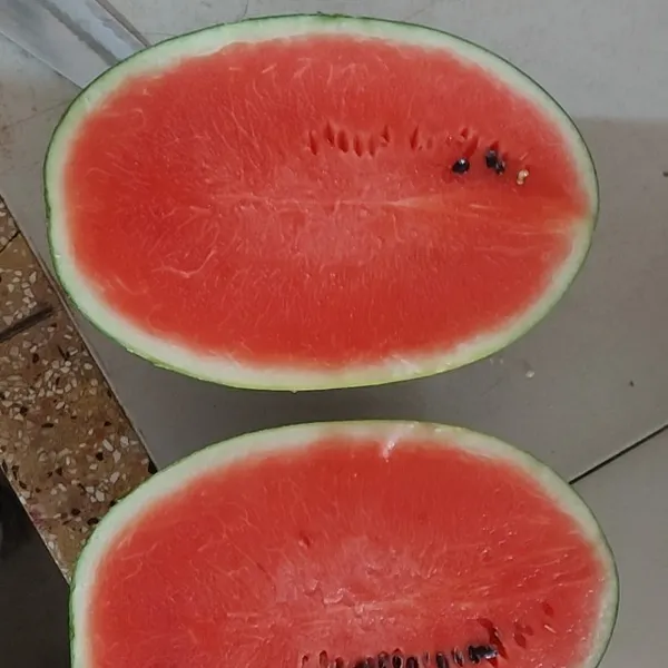 Dưa hấu long an