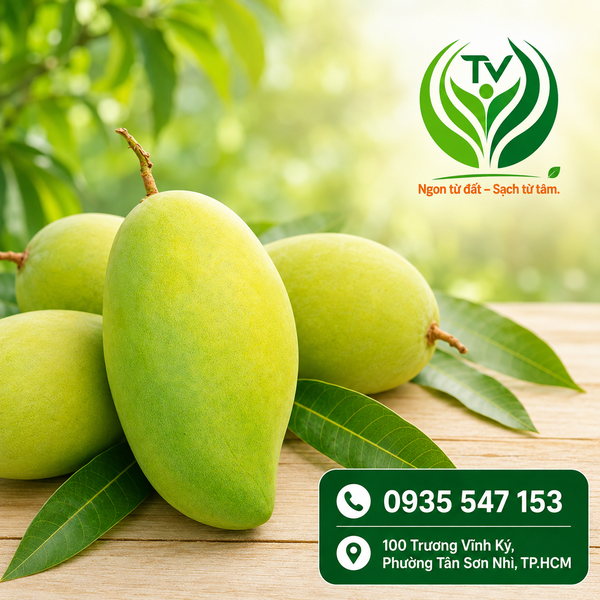 Cách Bảo Quản Trái Cây Tươi Lâu: Mẹo Nhà Vườn Chia Sẻ Thật