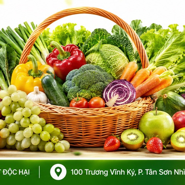 Combo Rau Sạch Cho Bữa Ăn Gia Đình - Tươi Mỗi Ngày Tại TP.HCM