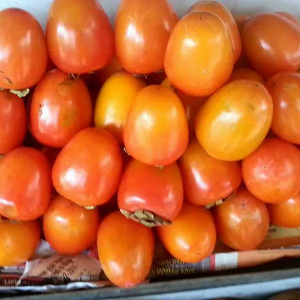 HỒNG TRỨNG