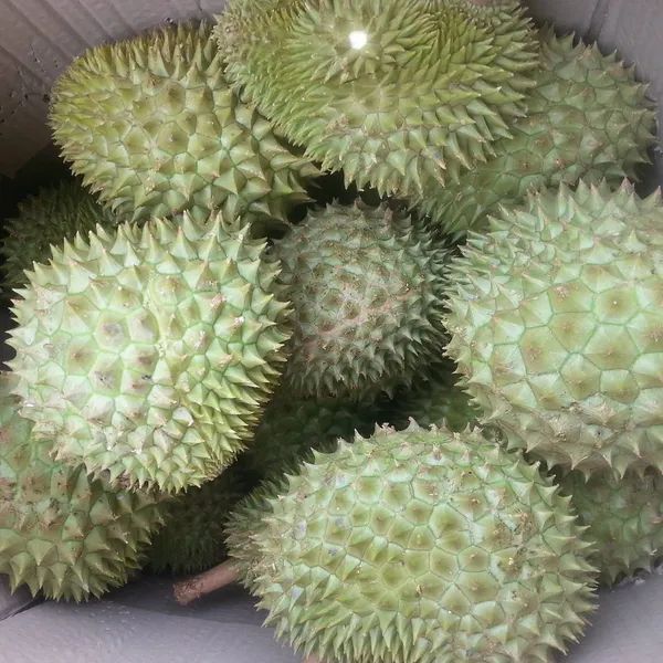 SẦU RIÊNG SẠCH