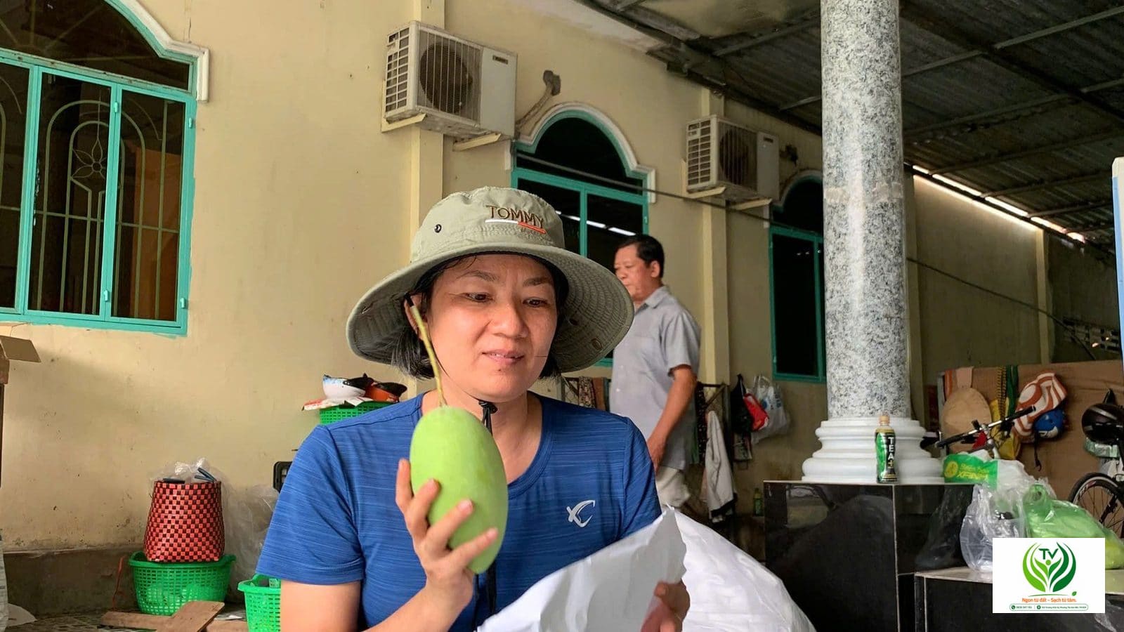 Đóng gói xoài cẩn thận từng quả trước khi giao