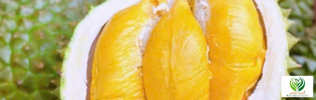 Sầu riêng bổ đôi, múi vàng ươm béo ngậy