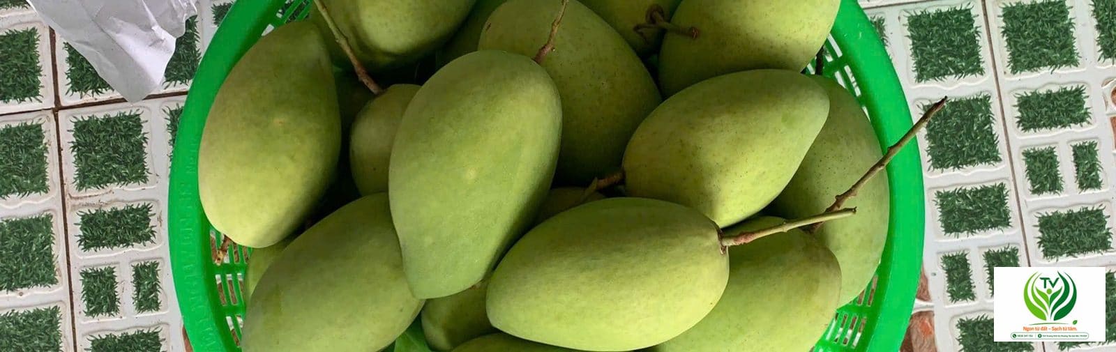 Đóng gói trái cây cẩn thận trước khi giao