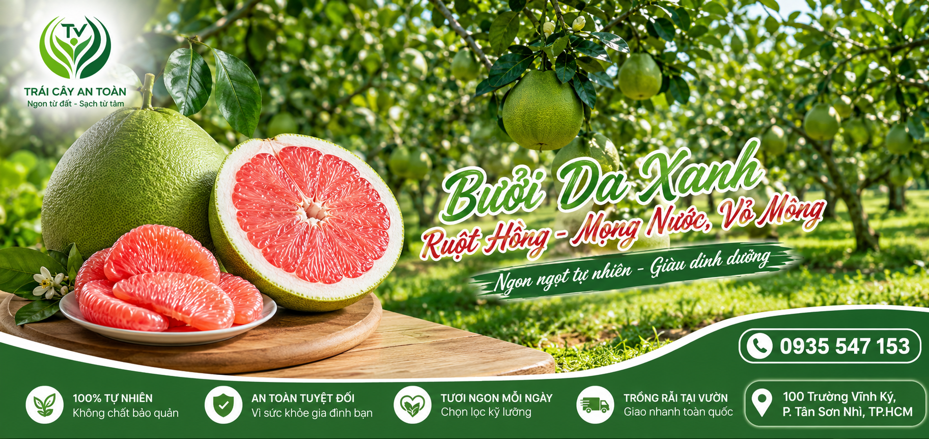 Vườn bưởi da xanh Bến Tre