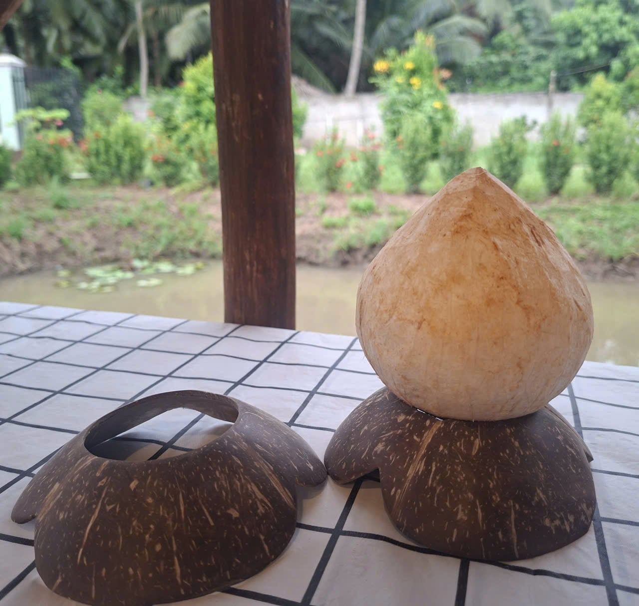 Đế gáo hoa lót dừa trọc