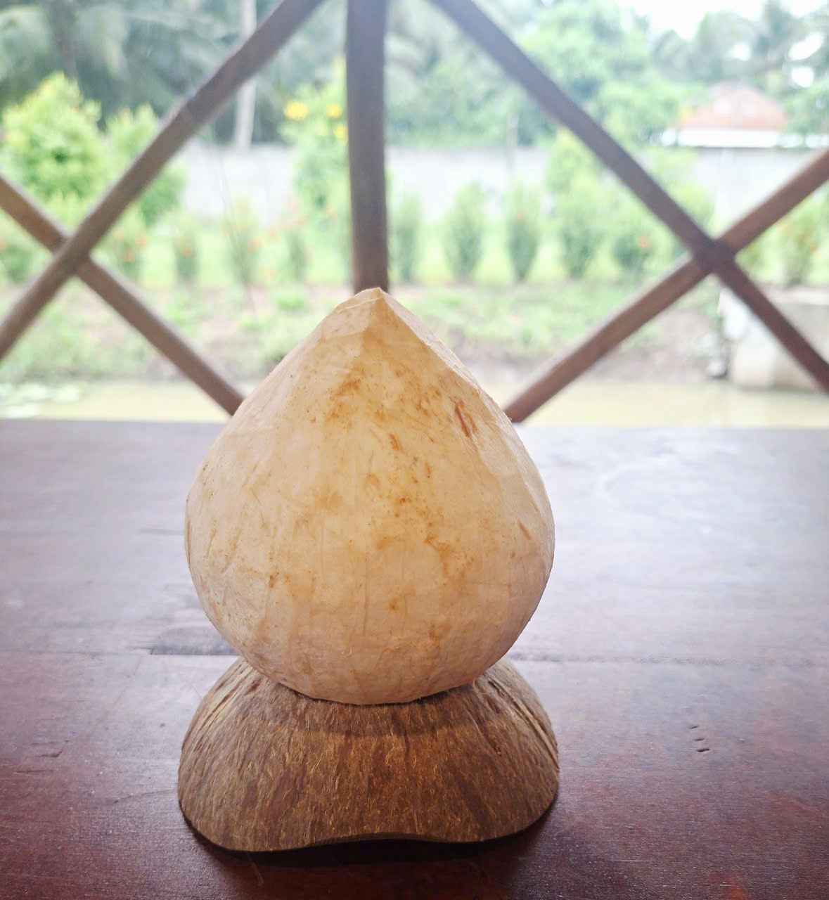 Đế gáo lót dừa trọc Dừa Việt