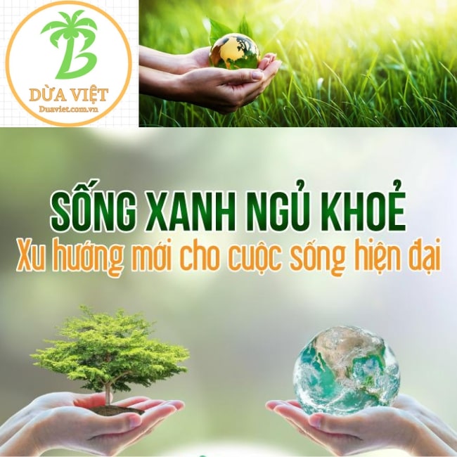 Chia sẽ Cách nấu ăn ngon và Trồng cây cảnh đẹp cho gia đình - Dừa Việt