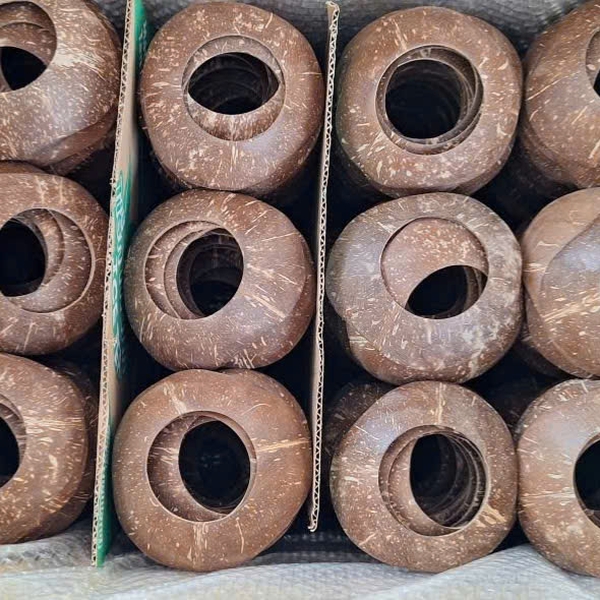Đế gáo lót dừa trọc
