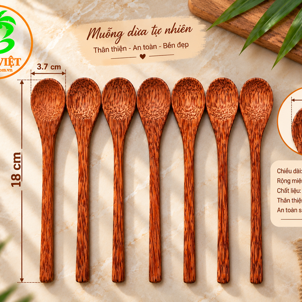 Thìa gỗ dừa 18cm