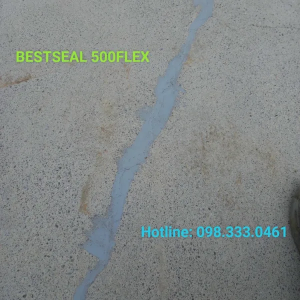 BESTSEAL 500FLEX