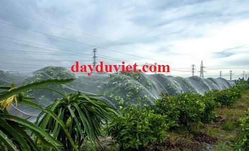 lưới cước lưới cước