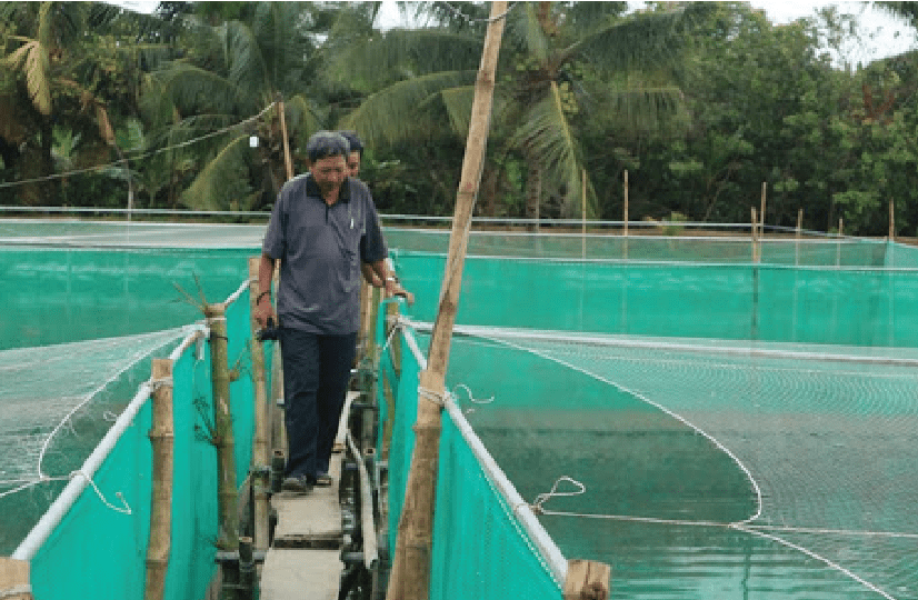 Lưới cước Lưới cước