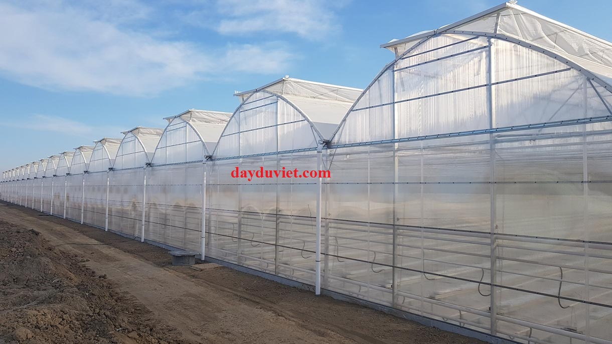 lưới cước lưới cước