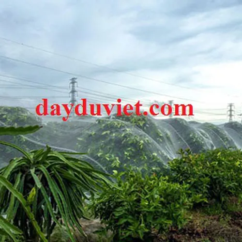 Lưới cước màu trắng