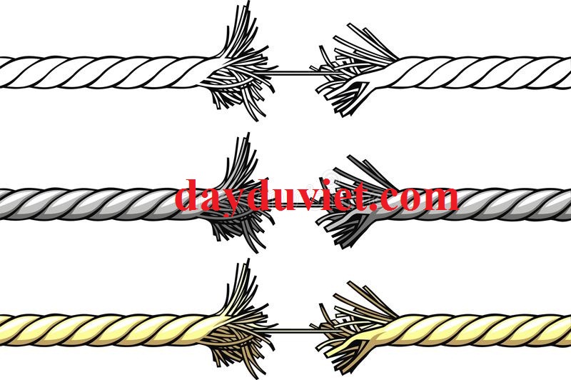 các dạng hư hỏng của dây dù dây dù đứt