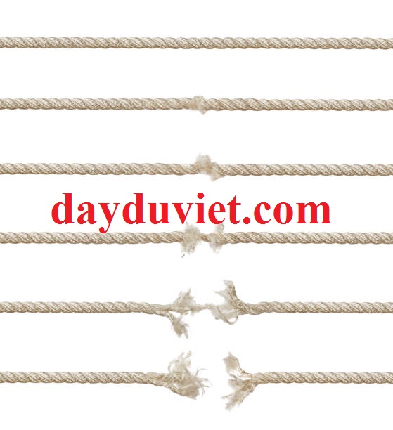 các dạng hư hỏng của dây dù giai đoạn dây bị đứt