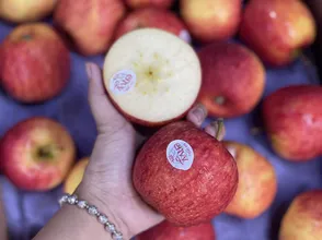 Táo envy mỹ - newzaeland dòn ngọt