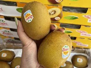 Kiwi vàng New Zealand 